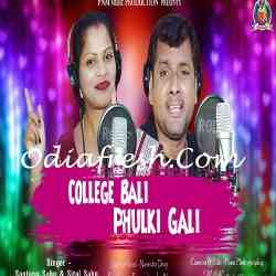 College Bali Phulki Gali
